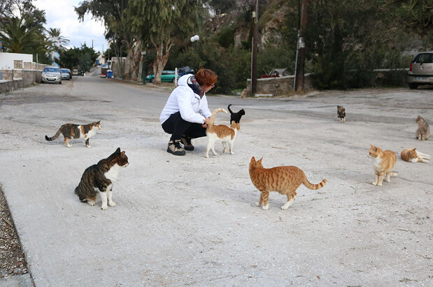 Ctas image - My Rescue Rituals