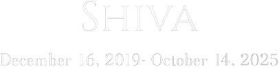 Shiva Logo