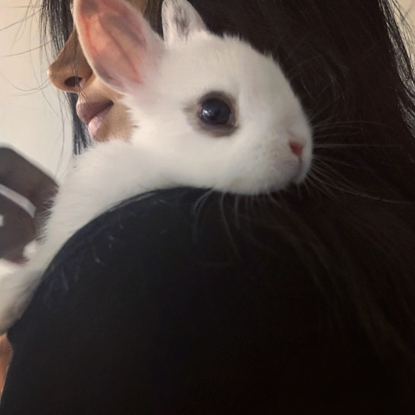 Monica Jennifer Kapoor, MD