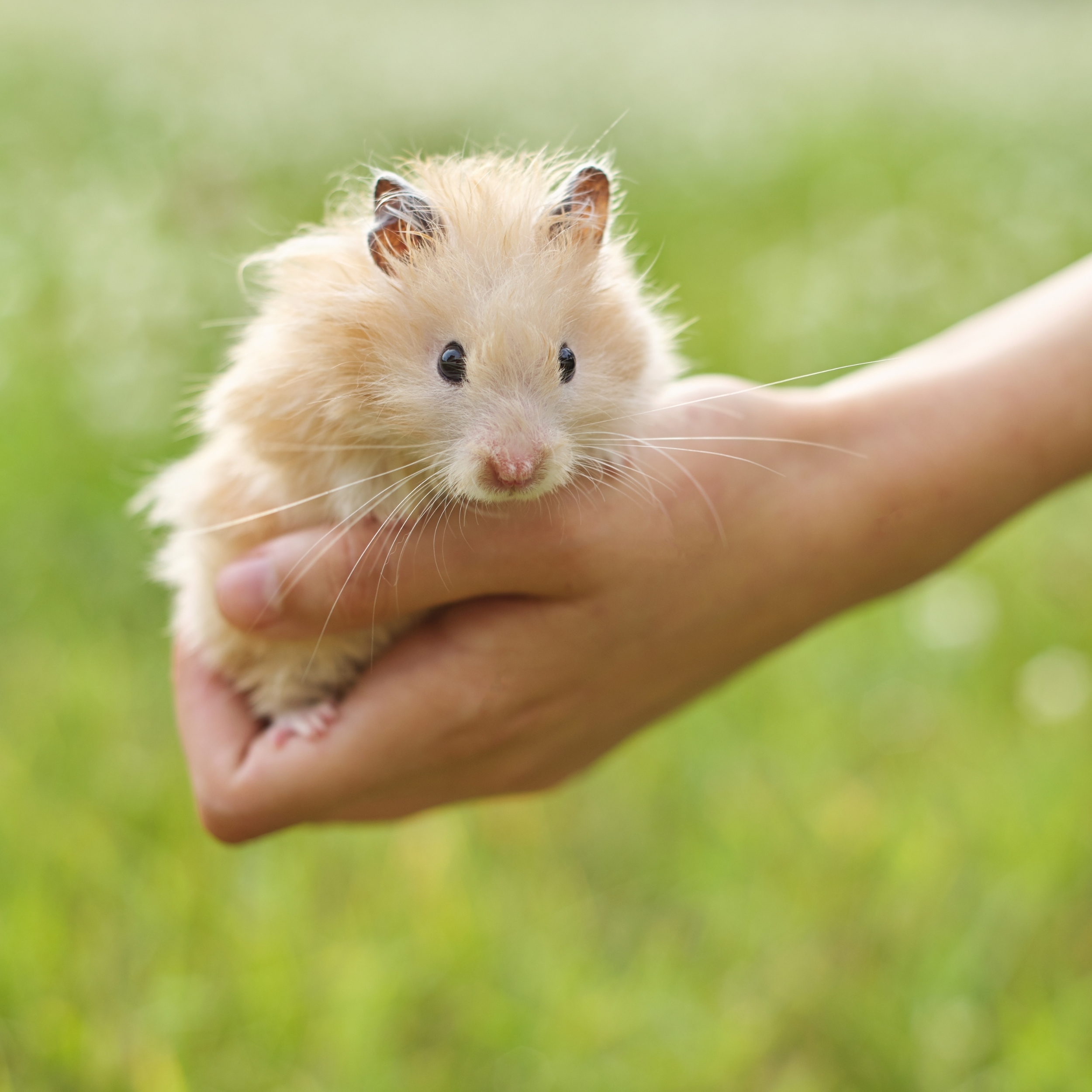 Your contribution counts