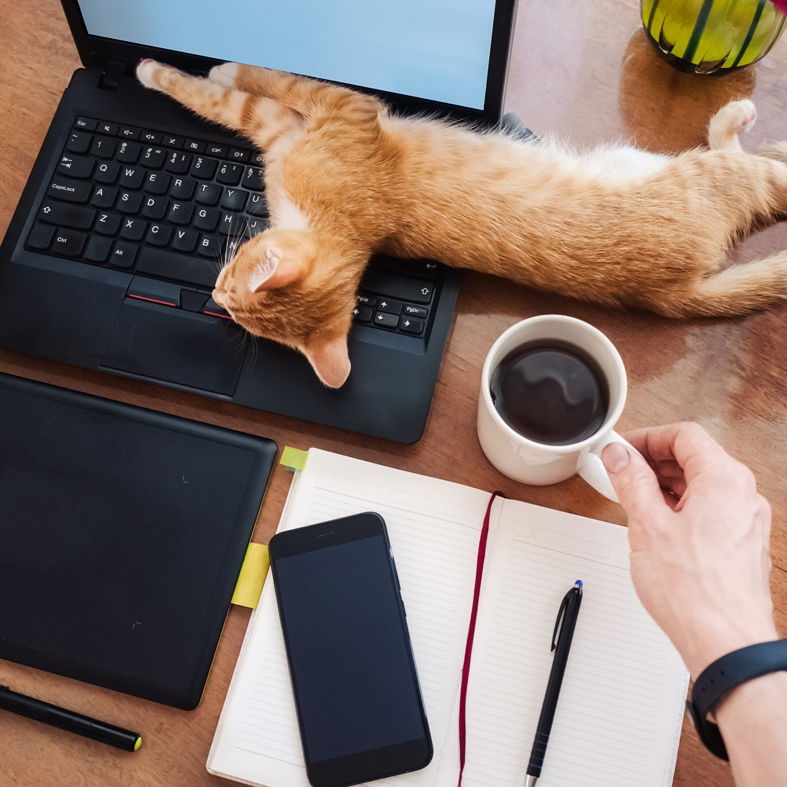 Creators and influencers